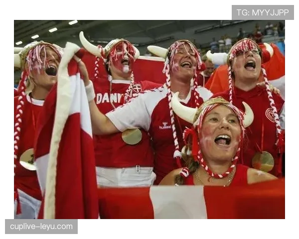滚旗歌_被丹麦球迷创意改编 引发现场热烈反响