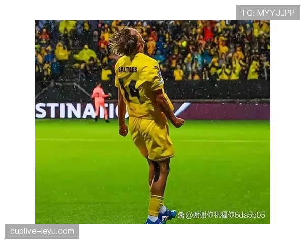 激战季后赛：多队鏖战抢夺最后席位，黑马球队强势崛起引关注