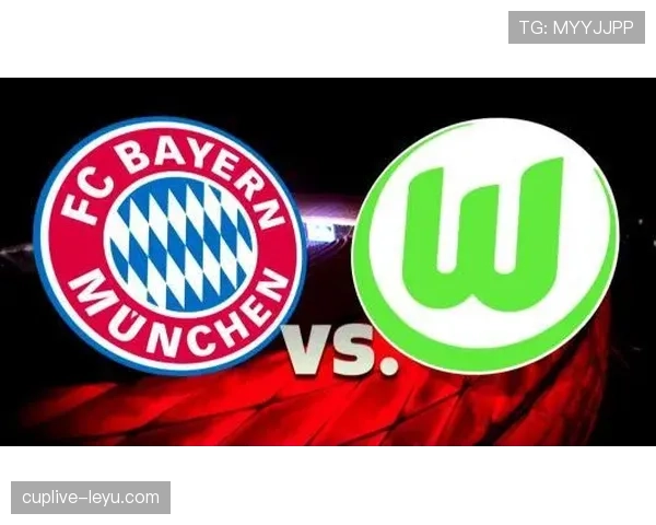 狼堡逼抢体系全面升级，引领德甲战术新风向