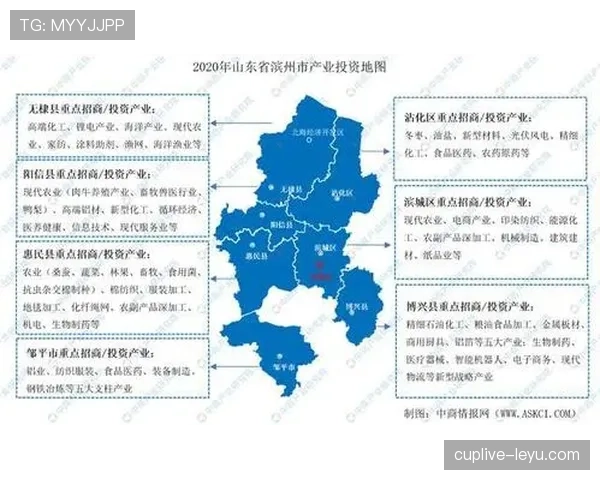 葡萄牙2026过渡:迈向国家发展新阶段的愿景与成效分析 葡萄牙2026过渡:迈向国家发展新阶段的愿景与成效分析